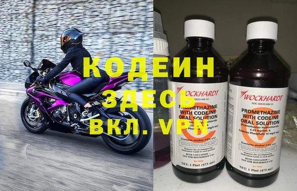 крисы Баксан